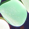 Rare Sea Glass Colors - Light Green / Seafoam