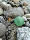 August 1, 2013 along the French Shore near Port Saunders, Newfoundland