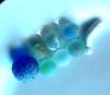 Bakoven Sea Glass Marbles