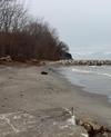 The shoreline bear Edgewater Oark, Cleveland, Ohio 