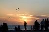 Dockweiler Beach Sea Glass Report