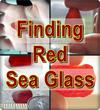 Finding Red Sea Glass?