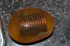 Inclusion in a piece of seaglass - what is it?