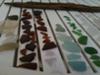 Sea glass - all found in about 1-1/2 hours