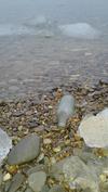 Lake Michigan near Charlevoix