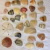 There are also lovely shell pieces