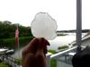 Glass Bottom
