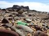 Trying out a close up shot - Frankston Beach Glunking