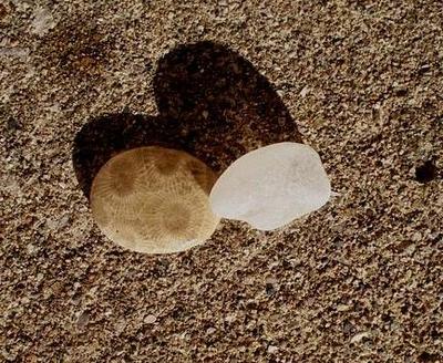 Sea Glass