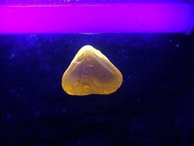 UV Yellow Heart Shape