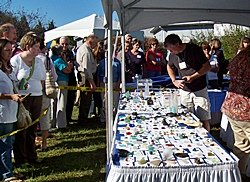 Sea Glass Festival 2008 Lewes Delaware