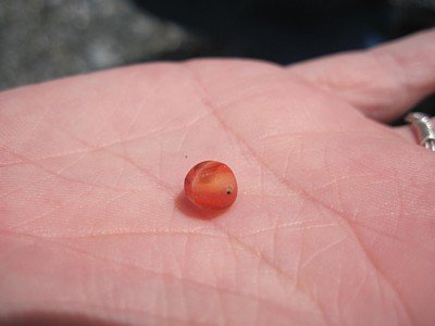 Orange sea glass bead