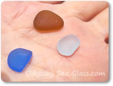 newsletter sea glass odyssey