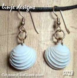 seashell earrings White Sea Shell Earrings