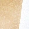 Rarest Peach Sea Glass Color