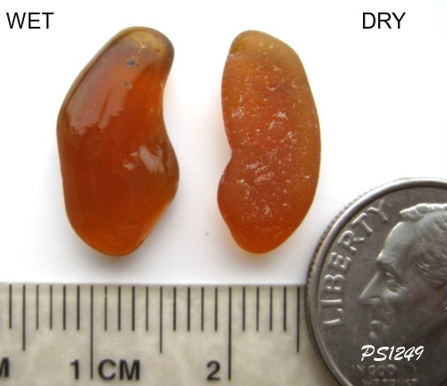 Honey Amber Sea Glass Earring Set