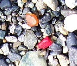 Red_and_amber_sea_glass.jpg