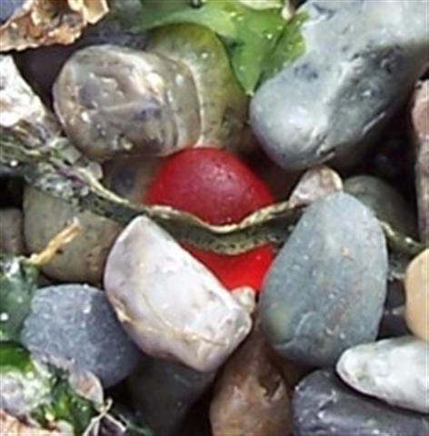 Round Red Sea Glass