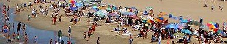 Sand and Sun Beaches - Great for Parties, Mediocre Sea Glass