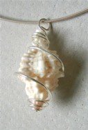 Sterling silver wire wrapped Sanibel Island shell