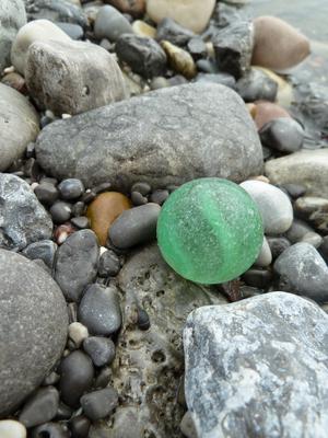 August 1, 2013 along the French Shore near Port Saunders, Newfoundland