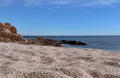 Chileno Beach, Cabo