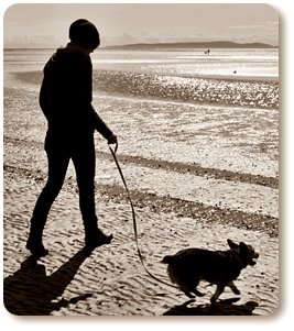 Guide to collecting sea glass - Why collect it? What is behind the fascination with these beach gems? How can I begin collecting? These questions and more are addressed on this page.