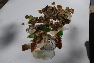 morning beach finds - guessing mostly beer bottles