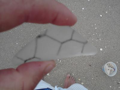 Chicken Wire sea glass found at Palm Beach, Florida