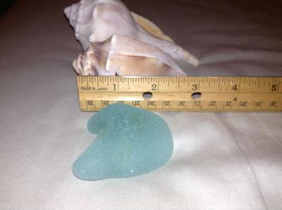 Sideview Sea Glass - Ruler - Conch Shells