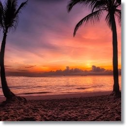 Tropical Beach Background Dominican