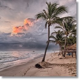 Tropical Beach Background Dominican