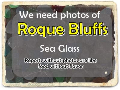 need sea glass photos of Roque Bluff State Park