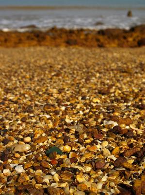 Green Glass on Pebbles - September 2012 Sea Glass Photo Contest