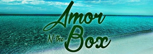 amornbox guantanamo sea glass shop