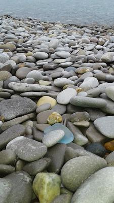 I found several nice pieces of beach glass and a whole bottle.