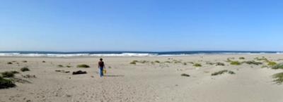 Sea Glass Long Beach? Nope.