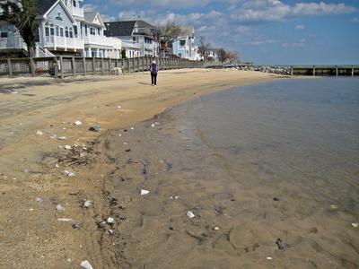 North Beach Maryland sea glass report