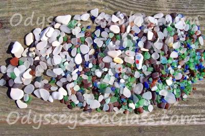 North Beach Sea Glass Catch of the Day