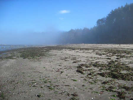 Olympic National Park North Coast Route