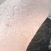 Rarest Colors Pink Sea Glass