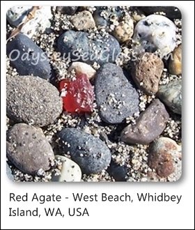 agate red whidbey island west beach washington state usa