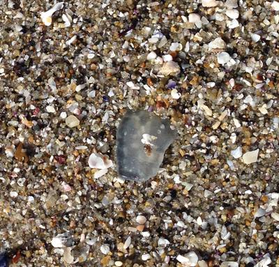 California Sea Glass Beach Reports