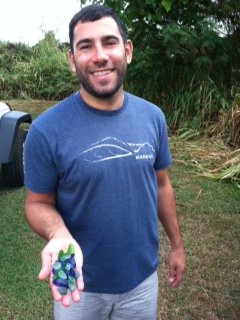 Hawaiian Sea Glass