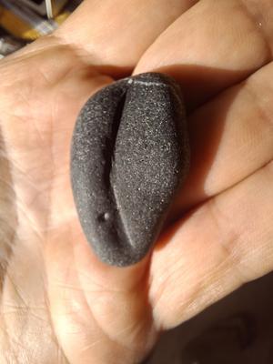 Gibraltar Sea Glass Identication Query