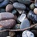 White Sea Glass