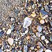 White Sea Glass