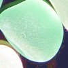 Rare Sea Glass Colors - Light Green / Seafoam