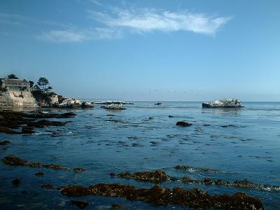 Shell Beach California Sea Glass