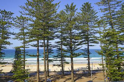 Manly Beach, Sydney, NSW Australia